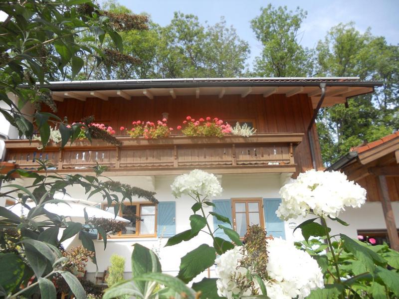Ferienwohnung Riepertinger บัดไฟลน์บาค ภายนอก รูปภาพ